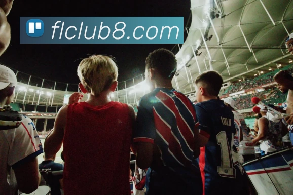 富丽新城官网平台生态图