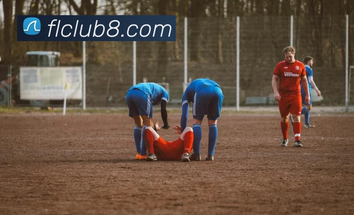 富丽新城官网全站App